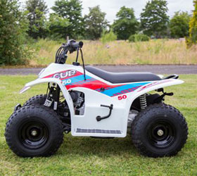 white cub side view 280